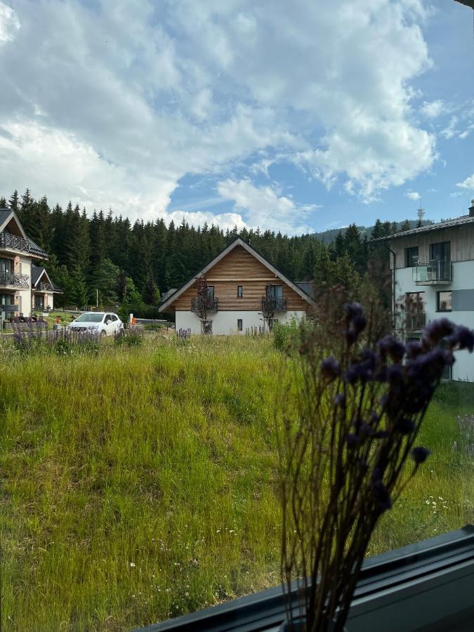 Pod Svahem Appartement